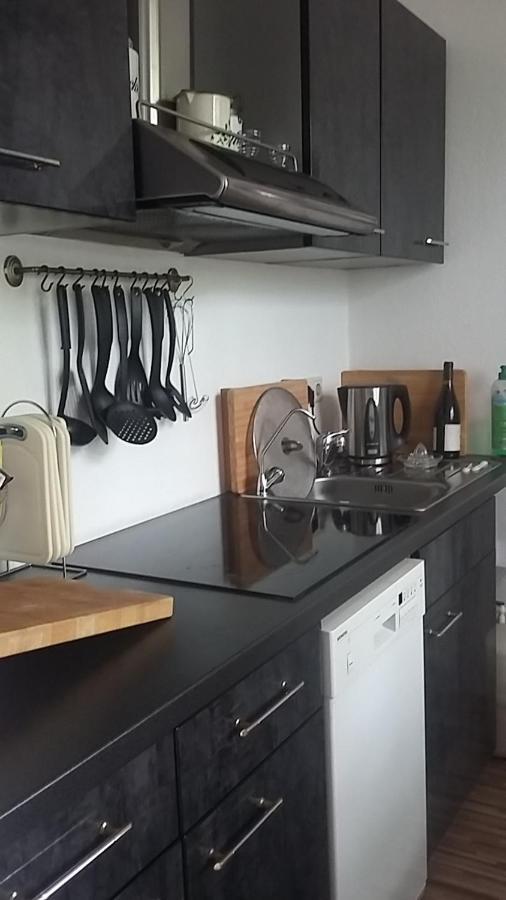 Am Goldenen Reiter Apartment Дрезден Екстериор снимка